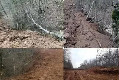 بیانیه اداره کل منابع طبیعی مازندران درباره خبر قطع ۴ هزار درخت در منطقه الیمالات شهرستان نور