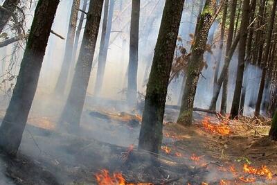 هشدار آتش سوزی در عرصه های طبیعی و جنگلی گیلان