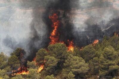 آتش سوزی وحشتناک جنگلی در اوریزابا در وراکروز مکزیک