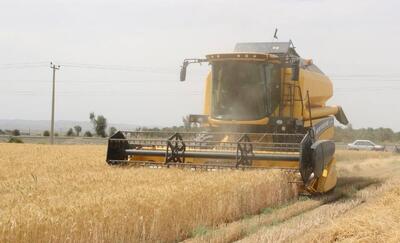 طرح جهش تولید گندم در آذربایجان‌غربی برای سومین سال در حال اجراست