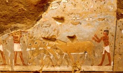 کشف مقبره مصری با نقاشی‌های خیره‌کننده