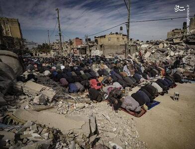 می‌کشند و نابود می‌کنند، اما روح فلسطین زنده است