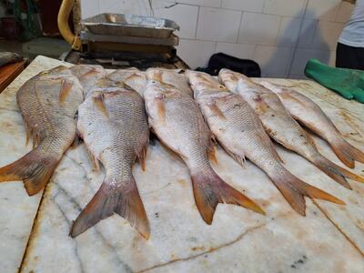 بازار ماهی فروشان گناوه در نوروز ۱۴۰۳