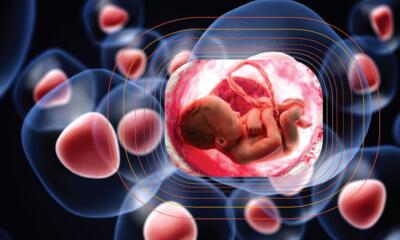 ساخت اندام های کوچک به کمک سلول های بنیادی