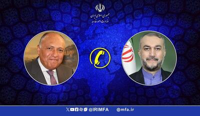 توافق وزرای خارجه ایران و مصر بر ارتقا سطح روابط دو کشور