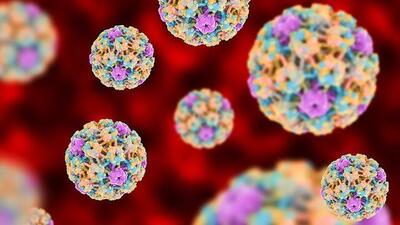 ویروس‌ها عامل ۱۰ تا ۲۰ درصد از سرطان‌ هستند