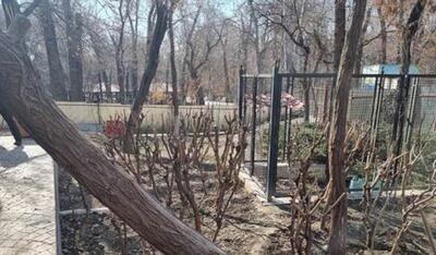 واکنش مهدی چمران به ساخت مسجد در پارک قیطریه: باید ۴۰۰ مسجد در پایتخت ساخته شود | رویداد24