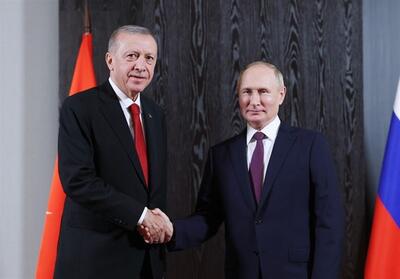 سفر سران روسیه، آلمان، مصر و یونان به ترکیه - تسنیم