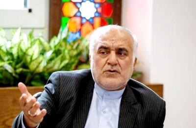 مدیرکل شورای عالی امور ایرانیان خارج از کشور: شمار ایرانیان خارج دارای مسئله امنیتی زیر ۱۰ نفر است