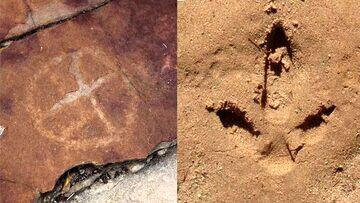 (عکس) کشف سنگ‌نگاره‌هایی از انسان‌های ماقبل تاریخ در کنار ردپای دایناسورها