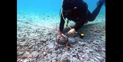سنگ عجیب کشف شده در سواحل سیسیل