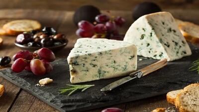 بهترین روش های نگهداری پنیر + 4 نکته ضروری