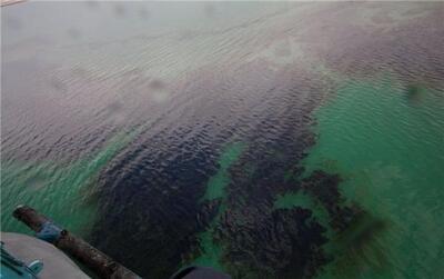 نشت نفتی در دریای خزر؛ کشورهای حاشیه این دریا در خطر محیط زیستی قرار گرفتند | رویداد24