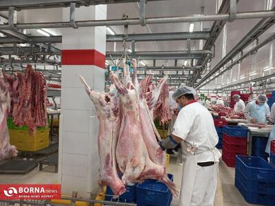 برنامه‌ریزی دولت برای تعادل و‌ تنظیم بازار گوشت گرم در سال جاری