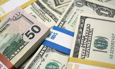 تاخت و تاز دلار در بازار در اولین روز هفته