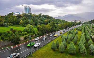 تهران به ازای هر نفر معادل میزان جهانی فضای سبز ندارد!