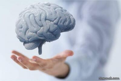 یورونیوز: آیا بزرگ‌تر شدن مغز انسان‌ها خطرات ابتلا به زوال عقل را- در آینده نزدیک- کاهش خواهد داد؟! | خبرگزاری بین المللی شفقنا