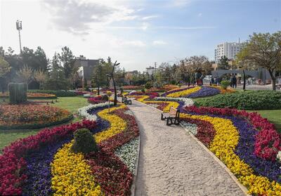 کاشت 100 هزار بوته گل لاله در جشنواره گل‌های مشهد+عکس - تسنیم