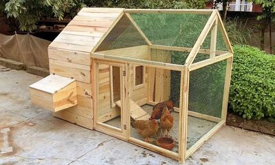 چگونه یک مرغداری کوچک با چوب در حیاط خانه بسازیم (فیلم)