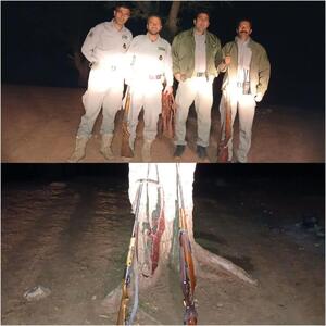 دستگیری شبانه‌ شکارچیان در هشتادپهلو لرستان