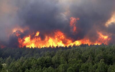 ۱۷۰۴ فقره آتش‌سوزی در عرصه‌های منابع طبیعی