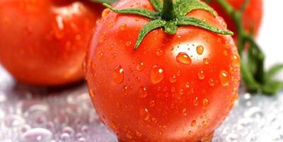 گوجه‌فرنگی با فشارخون و سرطان مبارزه می‌کند
