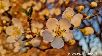 طبیعت زیبای آذربایجان غریی - مردم سالاری آنلاین