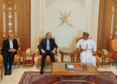 امیرعبداللهیان در عمان/ وزیر امور خارجه با مذاکره‌کننده ارشد دولت نجات ملی یمن دیدار کرد
