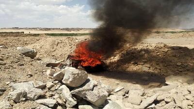 جزئیات آتش‌سوزی در منطقه لار زاهدان