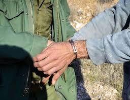 دستگیری ۹۹۲ متخلف زیست محیطی در لرستان