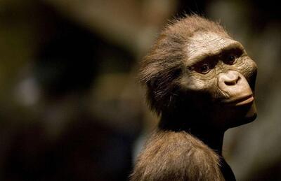 اولین «انسان» که بود و چگونه تکامل یافت؟ (+عکس)