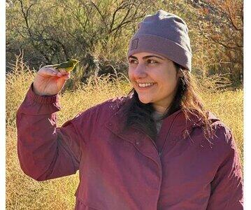 محقق زن ایرانی به راز پشتک زدن کبوترها پی برد/ عکس