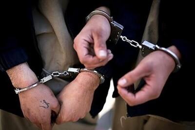انجام ۳ ماموریت پلیسی در شاهرود/ ۵ سودجو حوزه معدن دستگیر شدند