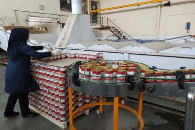 پیگیری حل مشکلات ۱۴ کارخانه تولید رب گوجه فرنگی در جنوب استان کرمان