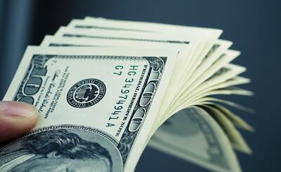 حراج سکه فرمان افزایش نرخ دلار را داده بود! | اقتصاد24