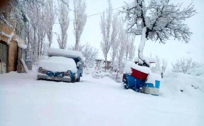 (ویدئو) این روستا زیر برف بهاری یخ زد