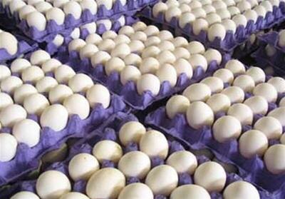 جدیدترین قیمت تخم مرغ در بازار |  قیمت هر شانه ۳۰ عددی فله‌ای چند شد؟