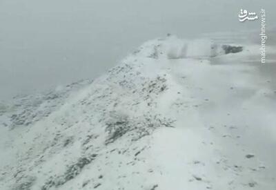 فیلم/ بارش حجیم برف بهاری در کردستان