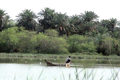 ظرفیت رودخانه بهمنشیر آبادان مغفول مانده است| ضرورت اجرای طرح گذر گردشگری