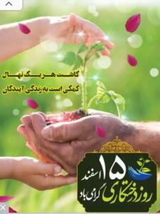 محیط زیست|چوب پایدار - اندیشه معاصر