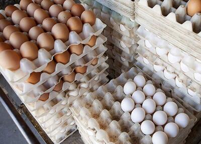 قیمت جدید تخم مرغ امروز ۲۵ فروردین ۱۴۰۳+ جدول | اقتصاد24