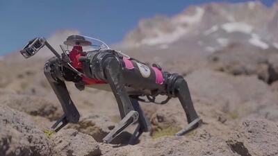 (ویدئو) تمرین سگ ماه‌نورد ناسا