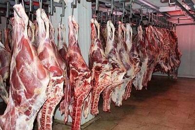 ثبات قیمت گوشت در بازار | قیمت گوشت تنظیم بازاری چند؟