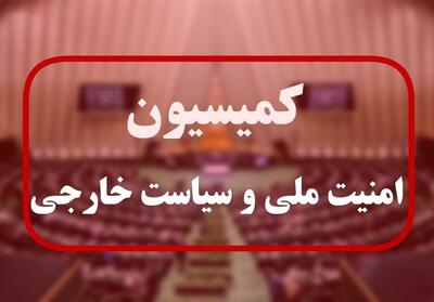 امیر عبداللهیان به کمیسیون امنیت ملی مجلس می‌رود - تسنیم