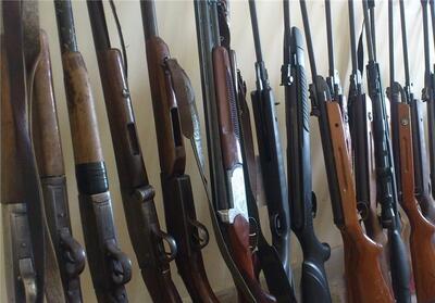 کشف 100 قبضه سلاح شورشی و شکاری در لرستان - تسنیم