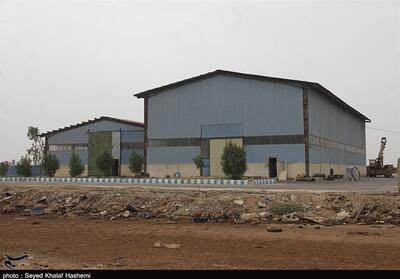 احیای 8 واحد صنعتی راکد در استان بوشهر - تسنیم