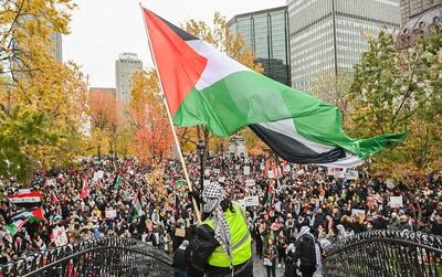 خوشحالی فلسطینی‌های ساکن تورنتوی کانادا از حمله ایران به اسرائیل (فیلم) | شبکه اطلاع‌ رسانی طلا و ارز