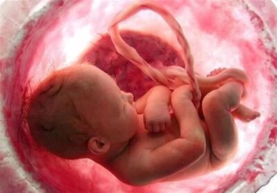 جلوگیری از سقط ۱۱۲ جنین در خراسان‌ شمالی