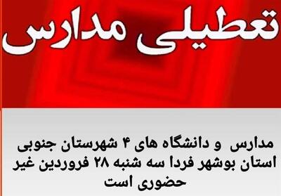 مدارس و دانشگاه‌های مناطق جنوبی بوشهر غیرحضوری شد - تسنیم