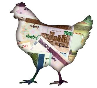 مرغ از سفره پرید؛ قیمت سینه مرغ بیش از ۴ برابر شد | شبکه اطلاع‌ رسانی طلا و ارز